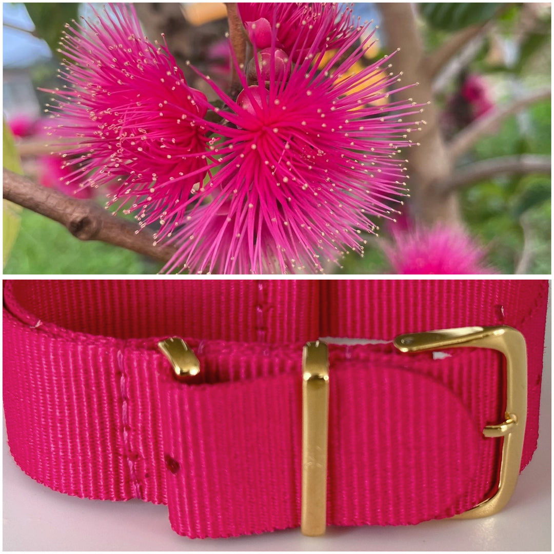 POMARROSA | GOLD
