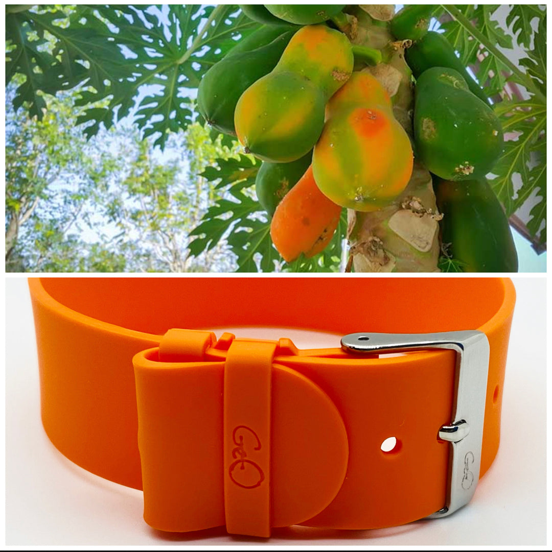 PAPAYA | SILVER | SILICONE