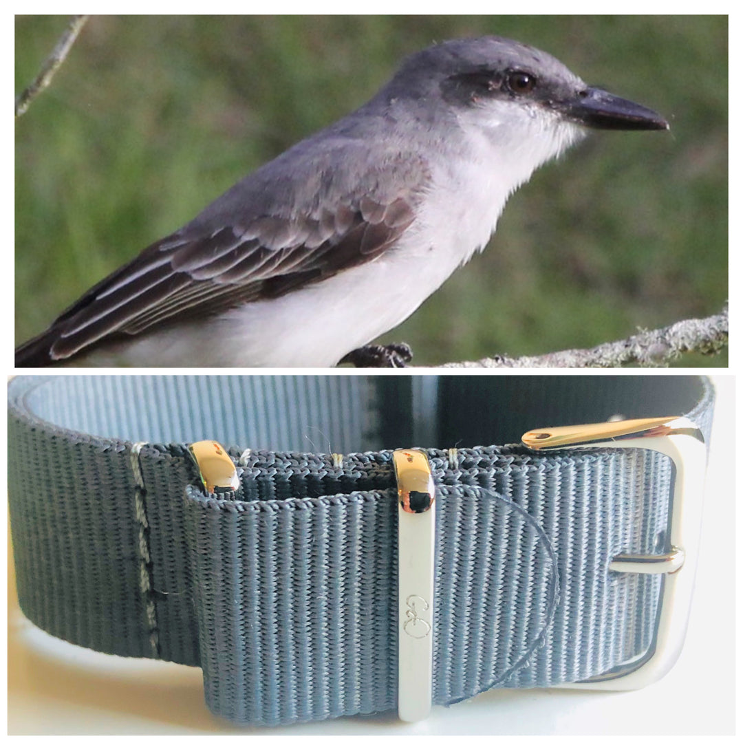 PITIRRE | SILVER
